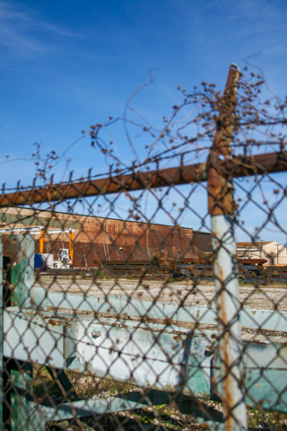 Midwest Musclecar Challenge T-shirt Design and Illustration